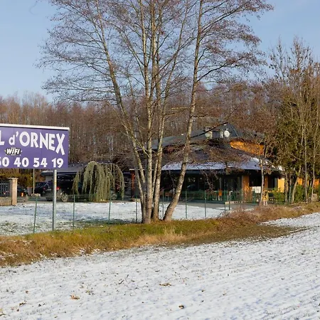 Motel D'ornex Ornex